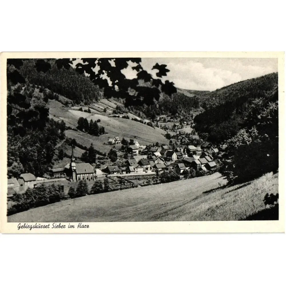 Mountain Spa Sieber in the Harz Mountains Germany Postcard